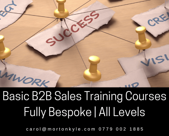 BASIC B2B SALES TRAINING COURSE – Being Brilliant at the Sales Basics