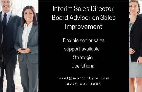 Interim Sales Director | Fractional Sales Leadership | Sales Transformation
