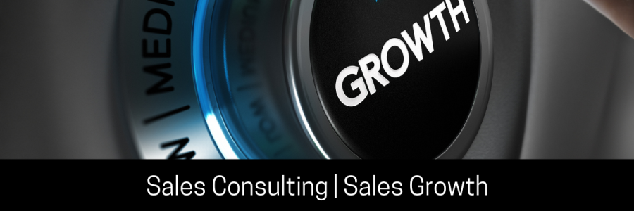 Sales Consulting: Transforming Sales Performance and Revenue Growth